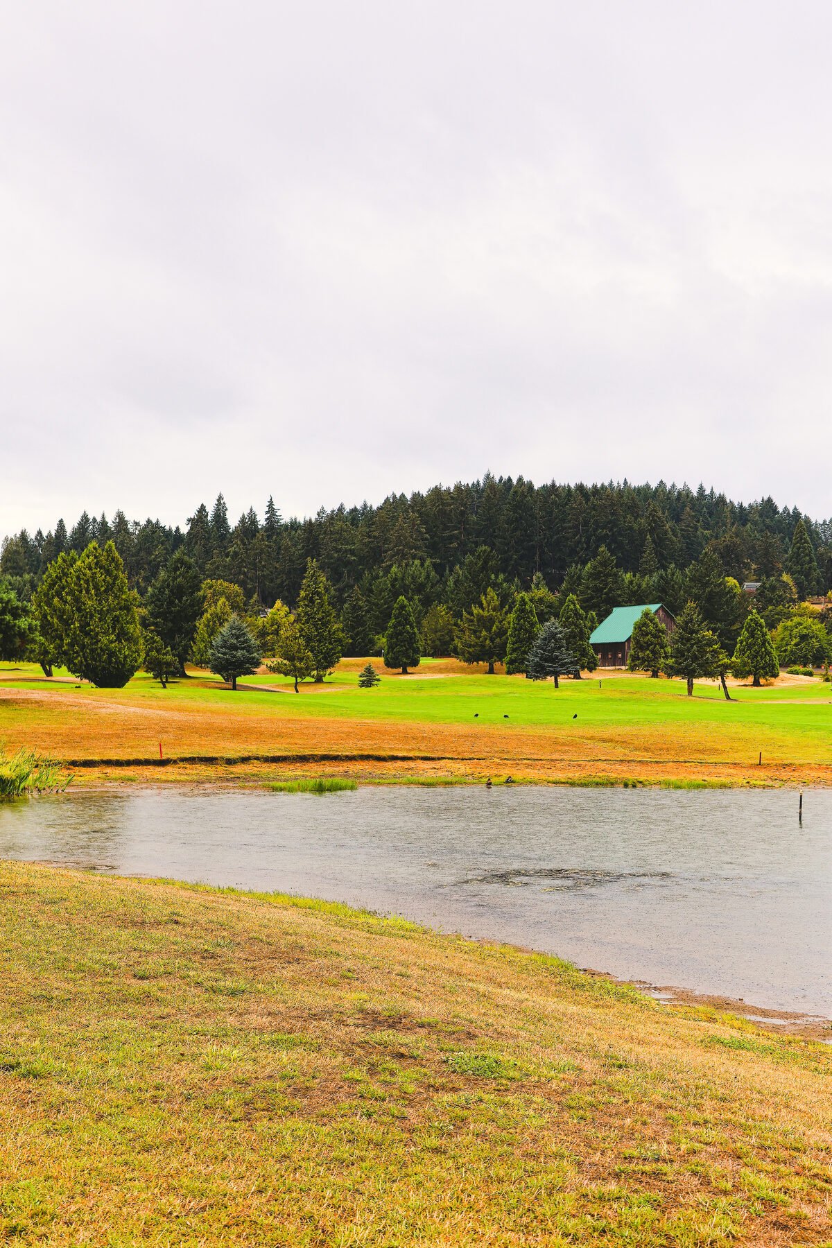 Walking the fairway with water behind, club in hand