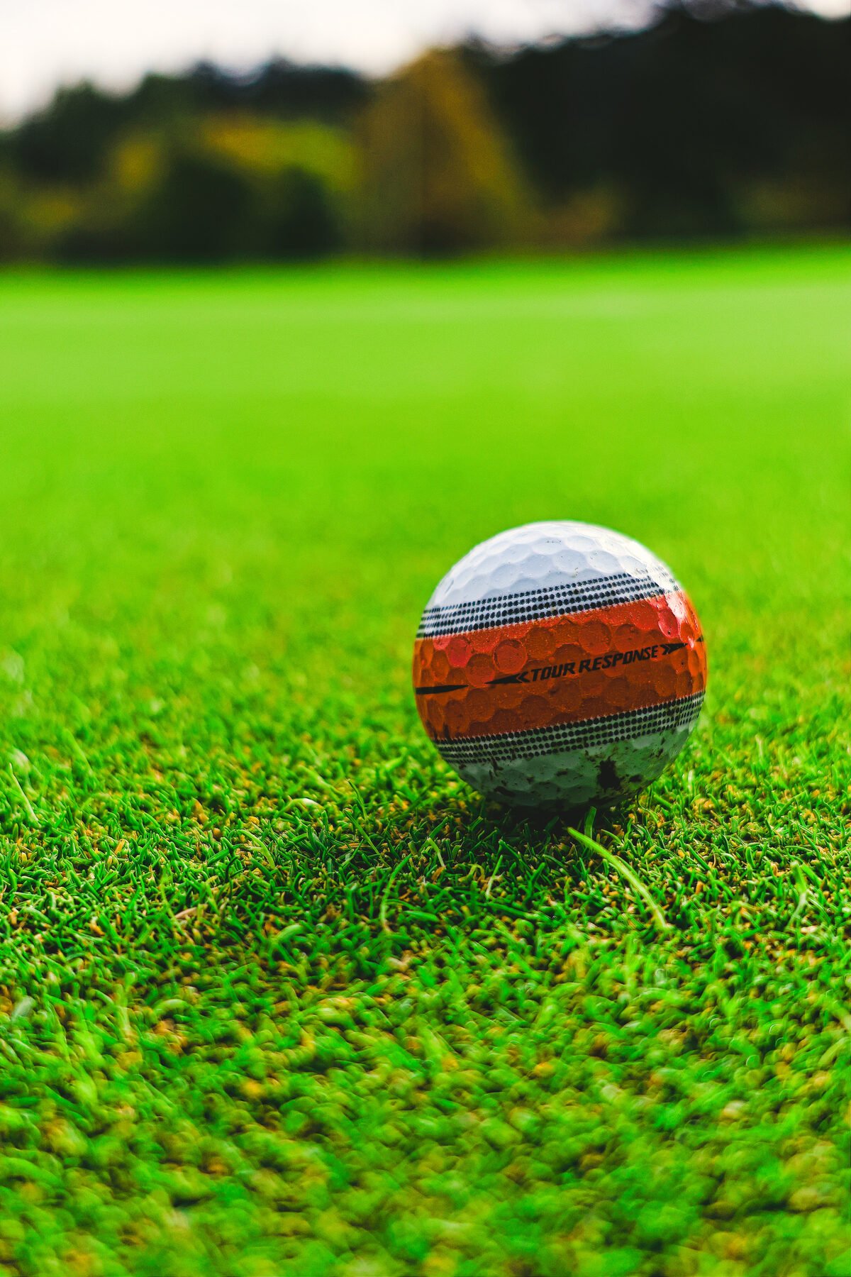 Golf ball on a tee against cut grass, shallow focus