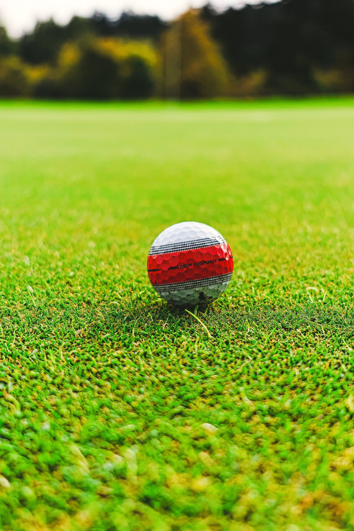 Golf ball on a tee, close in, fairway falling away behind it